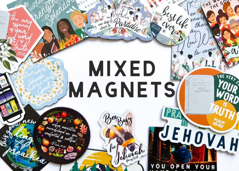Mixed Magnets