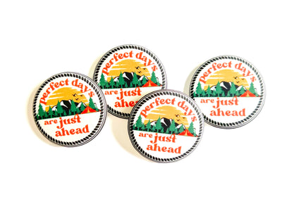 Perfect Days are Just Ahead Pins